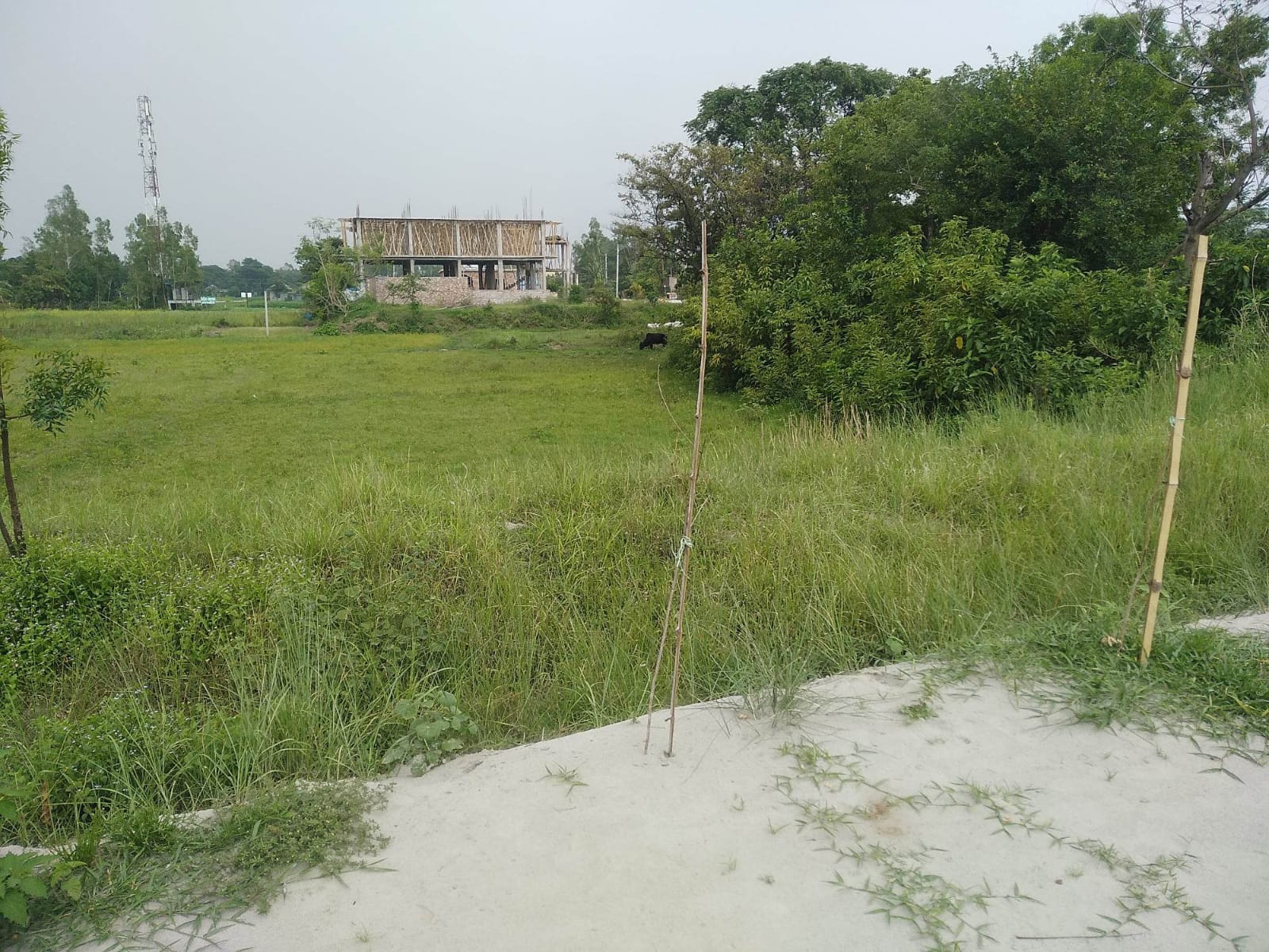 স্পেশাল প্লট